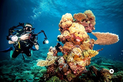 AYADA MALDIVES 5*, ���� �����